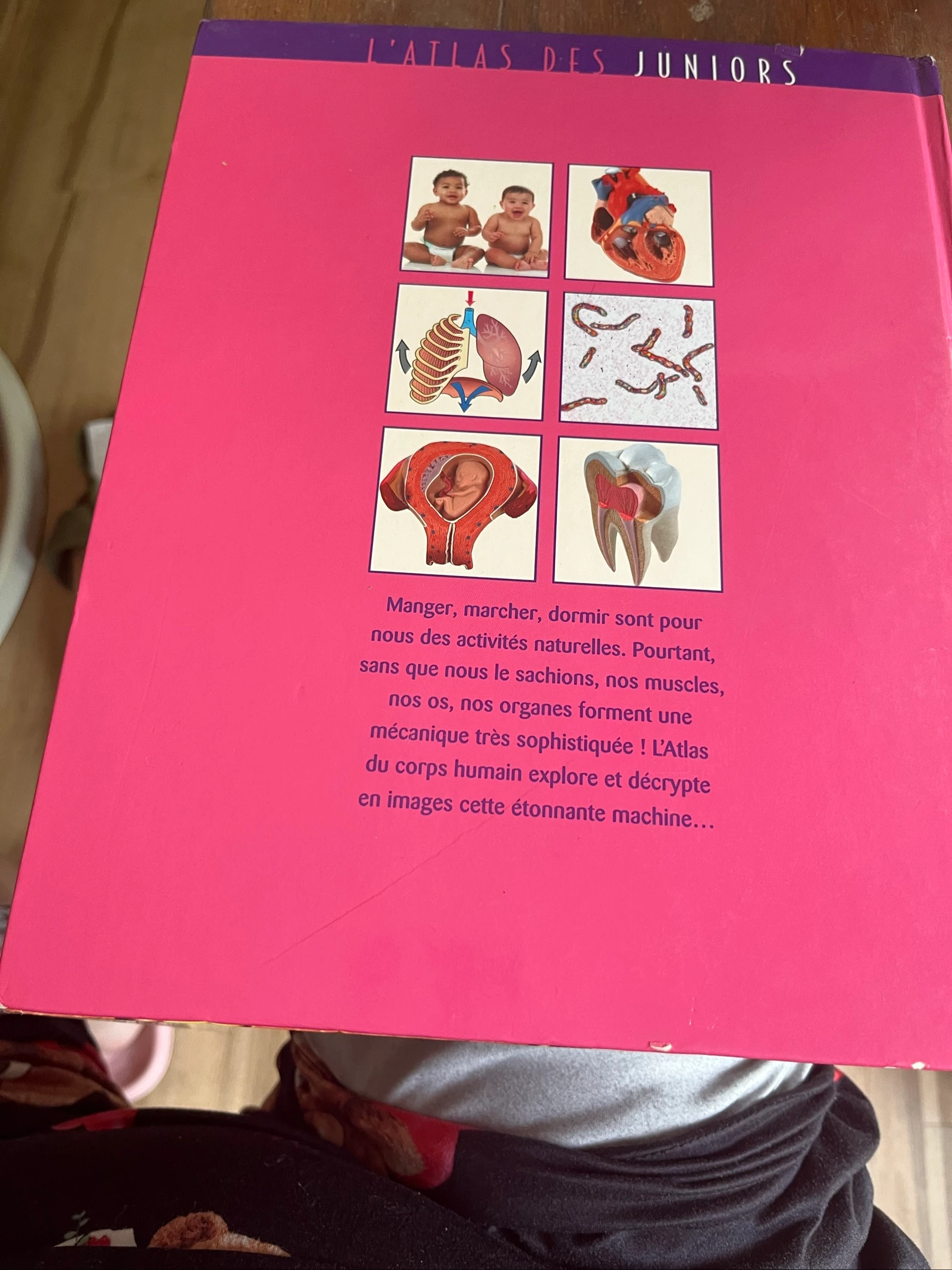Libro El Atlas de los Juniors - El cuerpo humano – photo 2